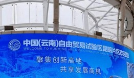 国产综合片,多元文化融合下的视听盛宴