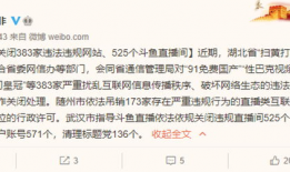 91国产网站,揭秘国内影视娱乐的多元化平台