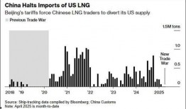 久久6国产,多元文化交融下的历史足迹与未来展望”