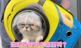 国产超级大香蕉,揭秘我国农业科技新成果