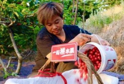 水莓100线在线观看国产,水莓100线，在线观看新体验