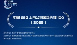 先锋国产在线,引领潮流的国产影视盛宴